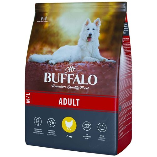      Mr.BUFFALO Adult M/L   1 .  1 .  2000    -     , -  