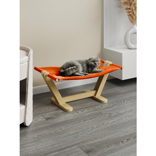 ���� ����� ��� ����� � ����� 