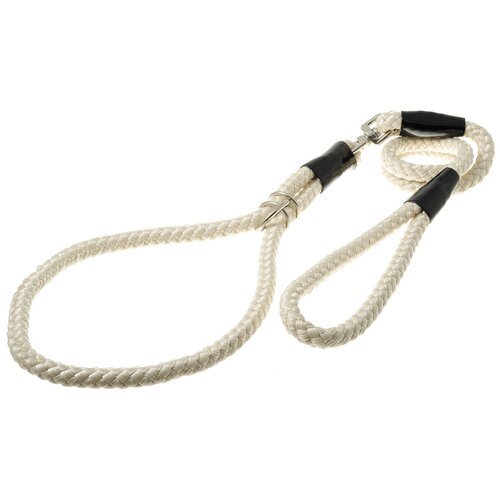 ���� �������� ��� ����� (�������-������) ��� ����������� � �������� / ��� ������� � ������� �����, Zoo One � �������, 12 ��, �������� ����� / PEB-12 IV, ������ ������