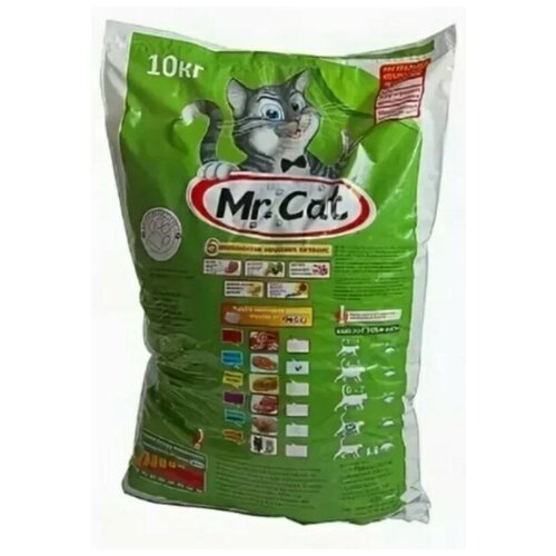  Mr. Cat 10         -     , -,   