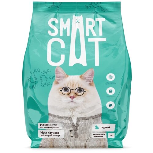  Smart Cat        - 400    -     , -,   