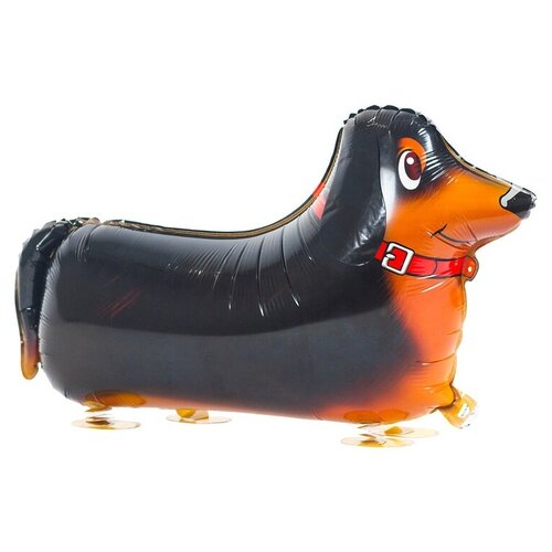 ���� ��� (24'/61 ��) ������� ������, �����, ����������, 1 ��., ������ ������