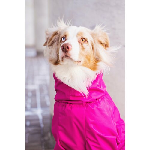 ���� �������� ��� ����� � ����������, ���� ������, ������ S30, ����� �� ������ 30�� - �������, ������ ������