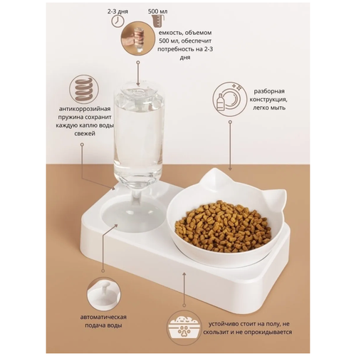 ���� ������� ����� ��� �������� �� ��������� ��� ���� � ����� / ����� � ����� ��� �������� Zurkibet, ������ ������