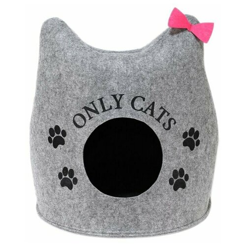 ���� ����� ��� �������� �� ������� 