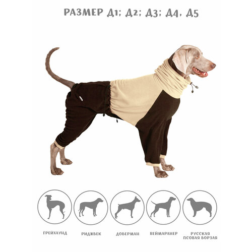 ���� �������� ���������� ��� ����� �� ������ , ���� ������-���������� , ������ D5, ������ ������