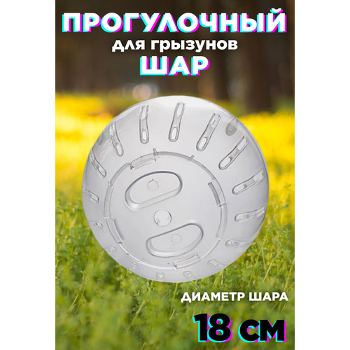 ���� ��� ����������� ��� ������� , ��� ��� ��������, ������� ��� ��������, 180 ��. ����������, ������ ������