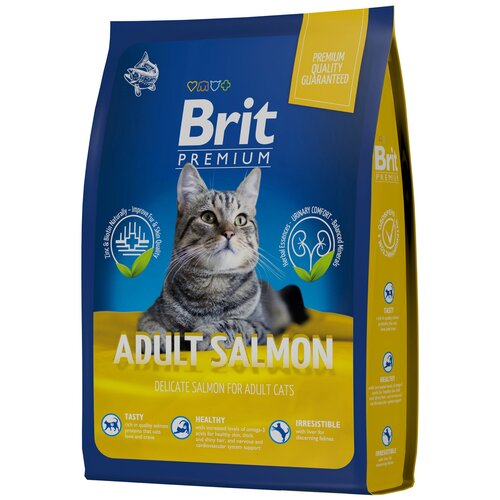      Brit Premium   8    -     , -,   