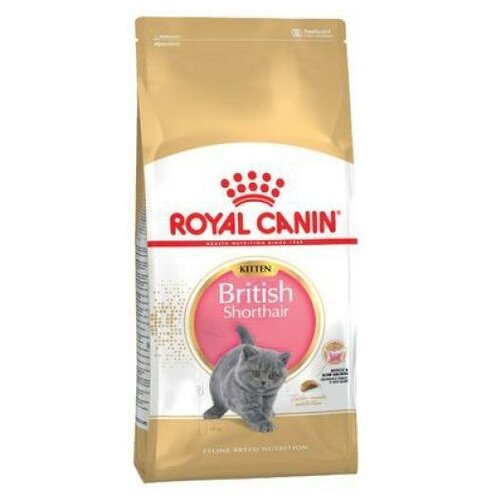        Royal Canin Kitten,    12 , 10 