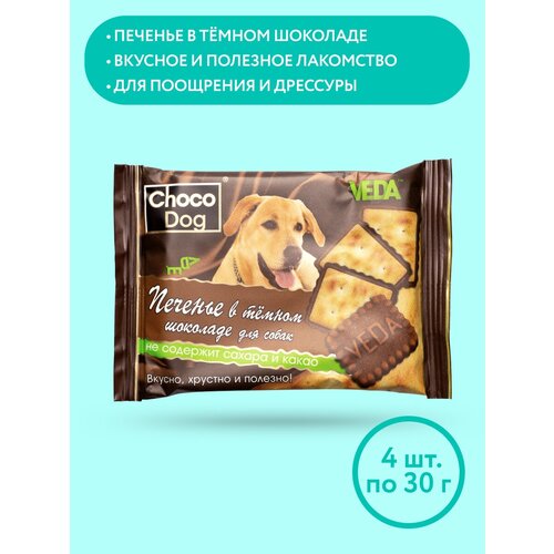  CHOCO DOG    ,   , 4 , VEDA   -     , -  