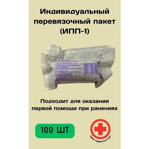 ���� �������������� ����� ������������ 100 ��, ���-1, ���, ����, ���� ������ �����������, ������ ������