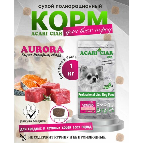      Acari Ciar Aurora 1  M ( ) Super Premium     -     , -  