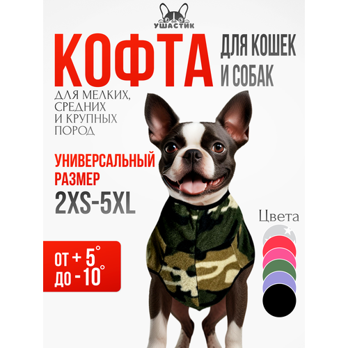 ���� ������� ��� �����, ������ ������