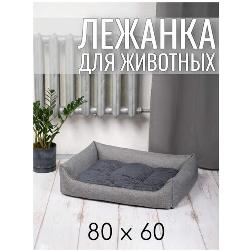 ���� ������� ��� �������� ����� � ����� ������������� 80/60 ��, ������ ������