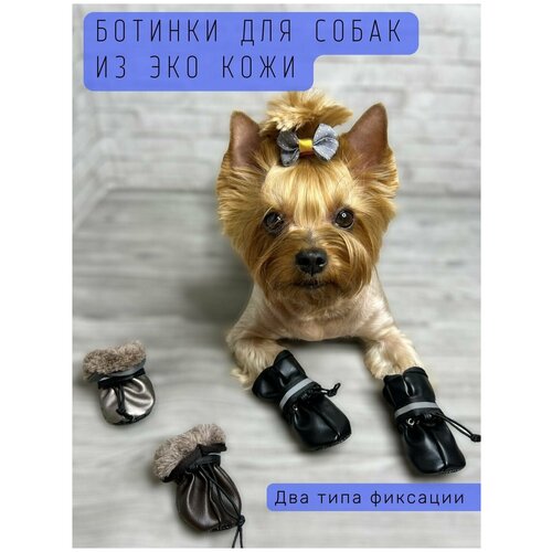 ���� ����� ��� ����� �� ���� �� ��� ���� / ������� ��������: ������� � ������� / ������������� / ������ 2 / ׸����, ������ ������