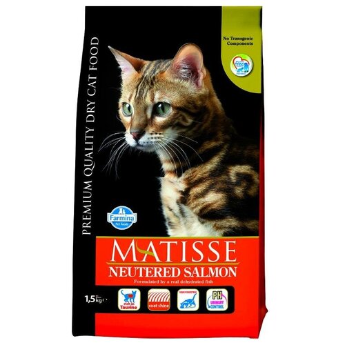  FARMINA          Matisse  7302 | Matisse Neutered Salmon 1,5  39060 (2 )   -     , -,   