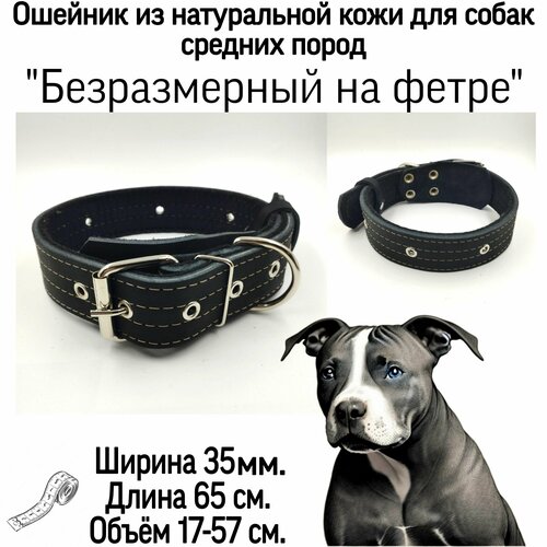 ���� ������� ������� ��� ����� ������� � ������� �����, ������, ������ 35 ��, ����� 65 ��, ������ ��� 17-56 ��, �����������, ������������. �������� ������������. ����� 65 ��. ����� 17-57 ��., ������ ������