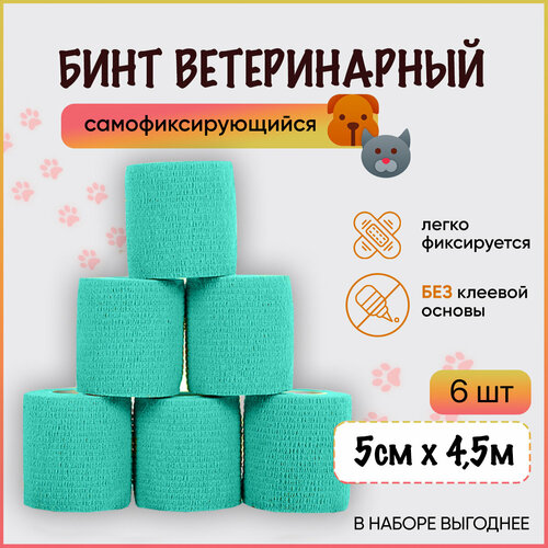 ���� ���� ���������� ���������� ����������������� / ��������� ����� ��� ����, ��� ���������, ����������, ��� ��������, 5 �� � 4,5 �, �������, ����� 6 ��, ������ ������