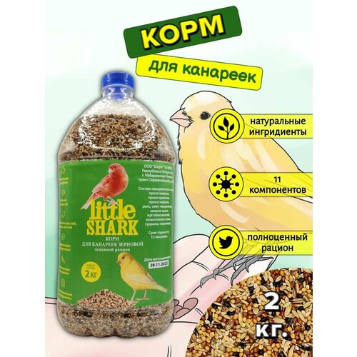 ���� ���� ��� ���� ����� �������� 