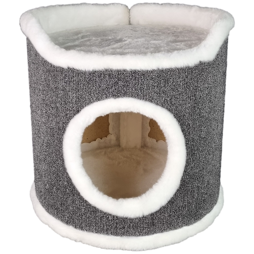 ���� ����� ��� ����� 