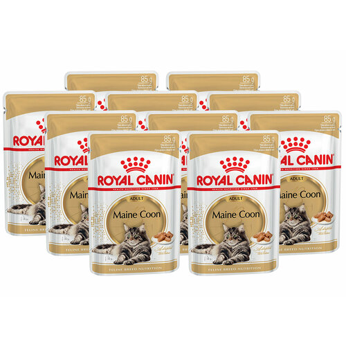  ROYAL CANIN MAINE COON ADULT         85  85   10    -     , -  