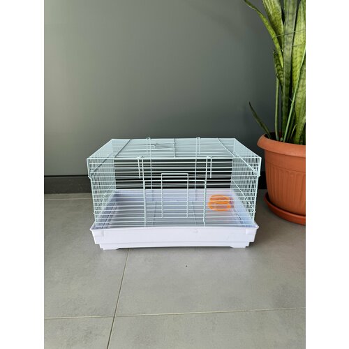 ���� ������ ��� �������� 45.5�28.5�27 ��, ��������, ������-��������, �����, ������ ������