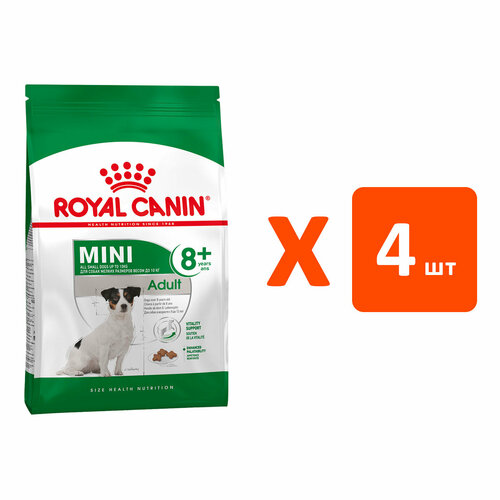  ROYAL CANIN MINI ADULT 8+       8  (4   4 )   -     , -  