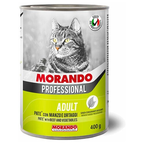     Morando Professional,      400    -     , -,   