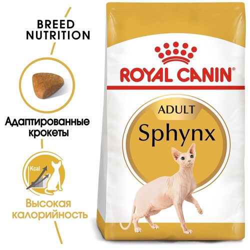  ROYAL CANIN SPHYNX ADULT    (0,4 + 0,4 )   -     , -,   