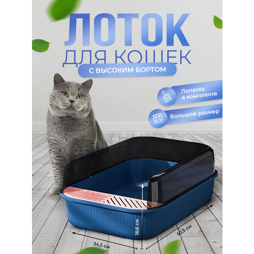 ���� ������� ����� ��� ����� � ���������, ������� ������ � ������. ���� �����., ������ ������