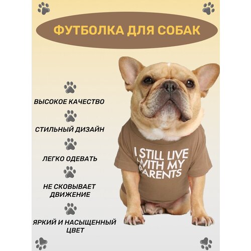 ���� �������� ��� ����� ������ � ������� �����, ��� �����, ��� �����, ��� ������ � �����. ������ ��� ����� � �����. ������-XXL, ����������, ������ ������