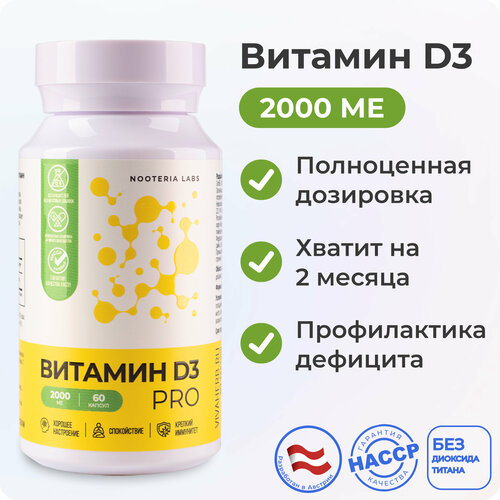 ���� ������� D3 Pro 2000ME, ������ ������