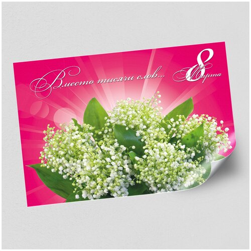 ���� ����������/������ �������������� �� 8 �����, ������ �-2 (60x42 ��.), ������ ������