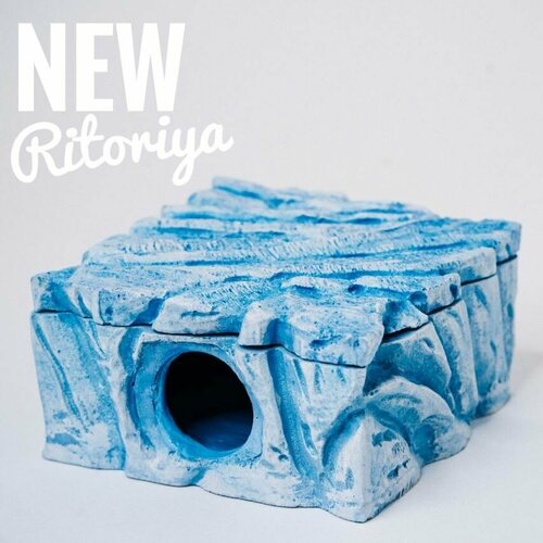 ���� ������� ������ 