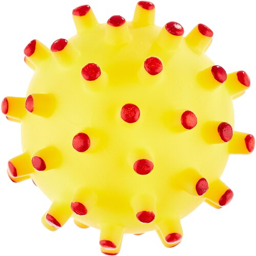 ���� ������� ��� �������� 