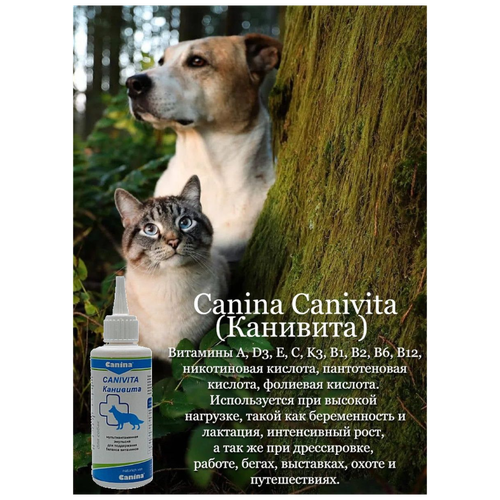     Canina Canivita (100)   -     , -,   