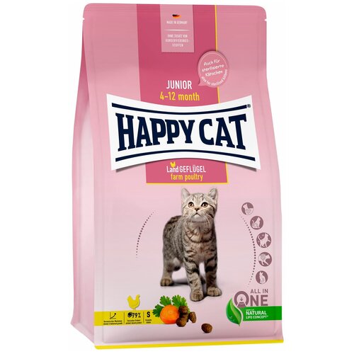  HAPPY CAT JUNIOR      (1,3   4 )