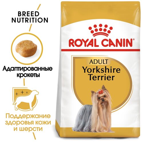    Royal Canin Yorkshire Terrier Adult        10   8 , 1.5    -     , -,   