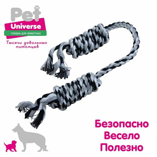     Pet Universe     