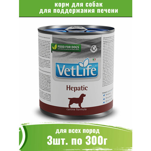  Farmina Vet Life Dog Hepatic 3  300         -     , -  