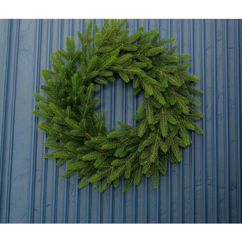 ���� �����