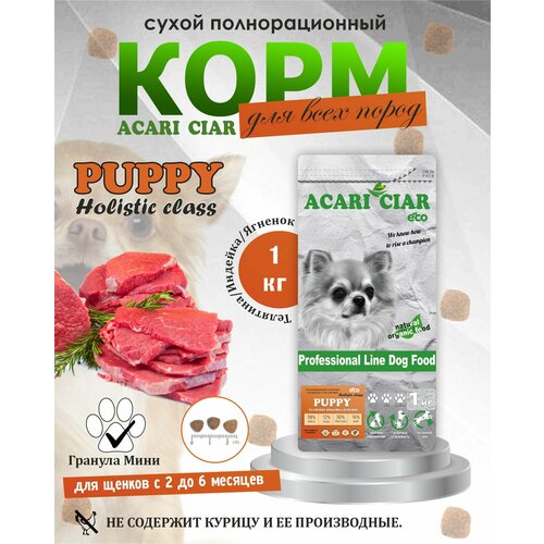      Acari Ciar Puppy Holistic 1  (   )     -     , -  