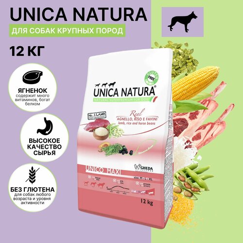        Unica Maxi  , 12.   -     , -  