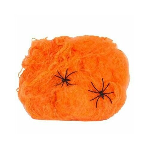 ���� ������������ ������������� ������� ��������� �� �������� � ��������, ������������ ���������, ������ ������