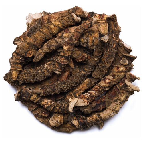 ���� ��� �������� (��� ������������) ������ �������, ���������, ���������, ��� ���, ���������������, ��� �������� 100 ��., ������ ������