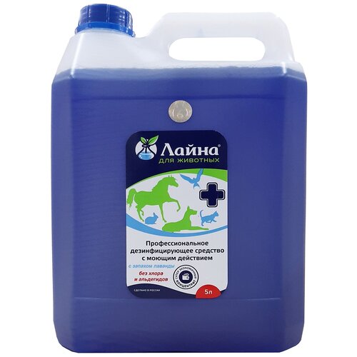 ���� �������� ��� ����������� � ������ ���� �������� �������� �������� 