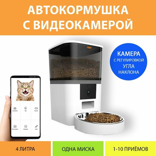         4 .    .   MY PET`S GADGETS   -     , -  