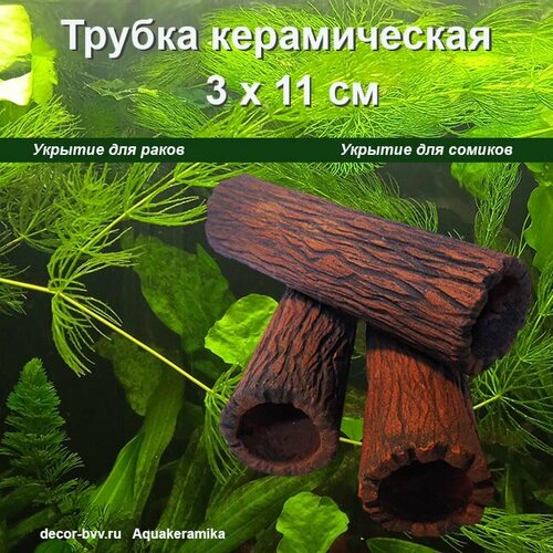 ���� ������ ������������ 3�11 ��, ������ ������