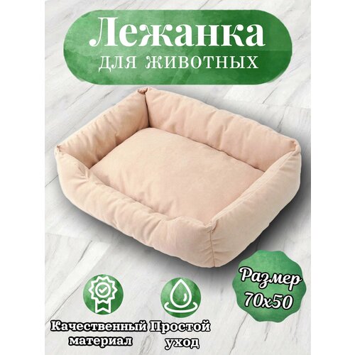 ���� ������� ��� ����� ����� ����� �������� ������ ������� ����� 70�50, ������ ������