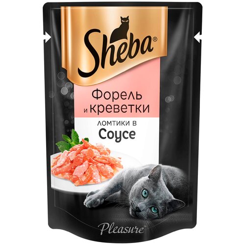  Sheba Pleasure       ,    (24  ) 85    -     , -,   